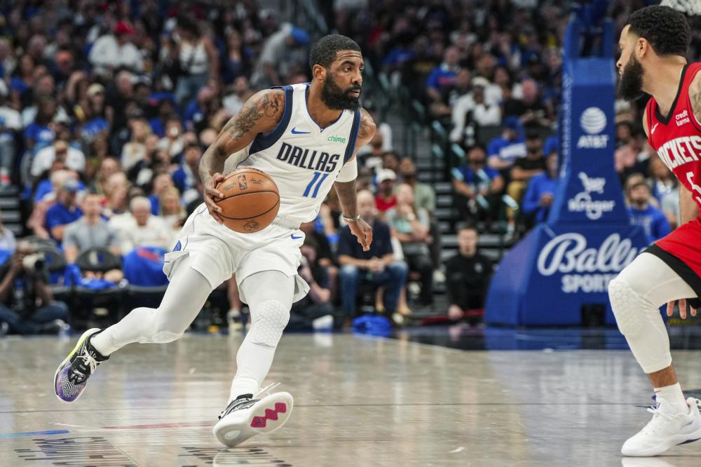 年轻黑马的 年轻黑马的